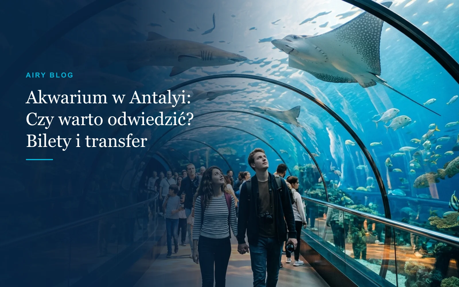 Akwarium w Antalyi: Czy warto odwiedzić? Bilety, czas zwiedzania i transfer