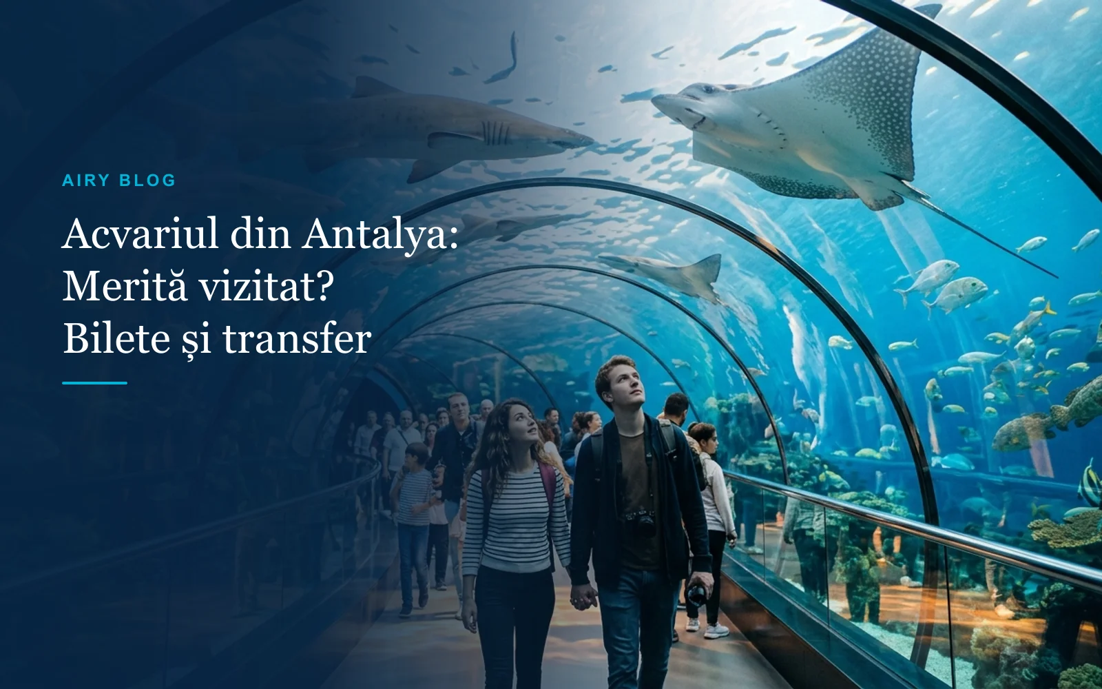 Acvariul din Antalya: Merită vizitat? Bilete, durata vizitei și transfer