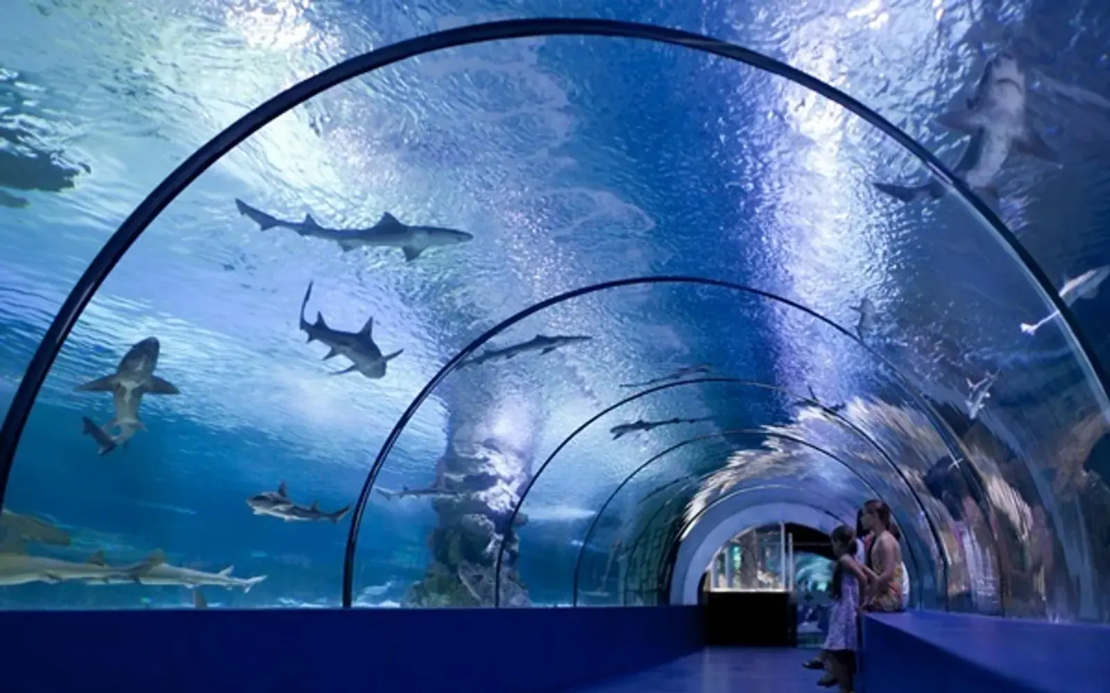 Akvárium Antalya a tunelový komplex