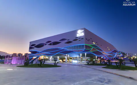 Oceanarium w Antalyi (Antalya Aquarium)