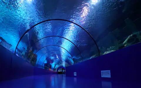 Oceanarium w Antalyi (Antalya Aquarium)