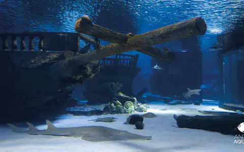 Oceanarium w Antalyi (Antalya Aquarium)