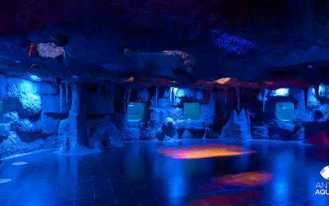 Oceanarium w Antalyi (Antalya Aquarium)
