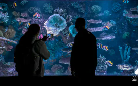 Oceanarium w Antalyi (Antalya Aquarium)