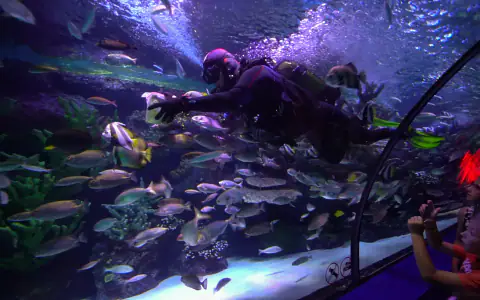 Oceanarium w Antalyi (Antalya Aquarium)