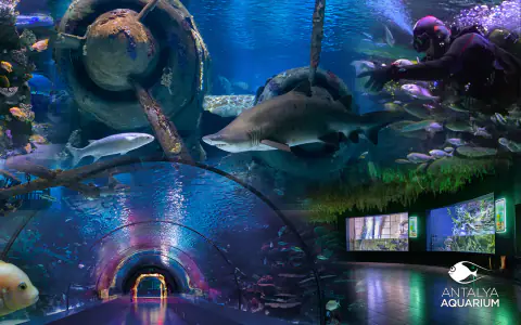 Oceanarium w Antalyi (Antalya Aquarium)