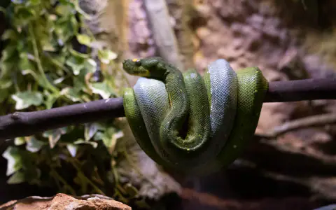 Oceanarium w Antalyi (Antalya Aquarium)