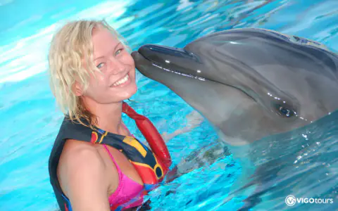 Schwimmen mit Delfinen