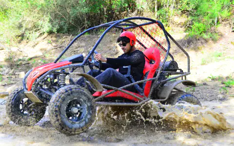 Safari buggy