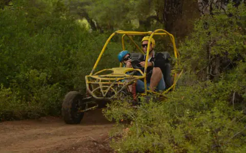 Safari buggy