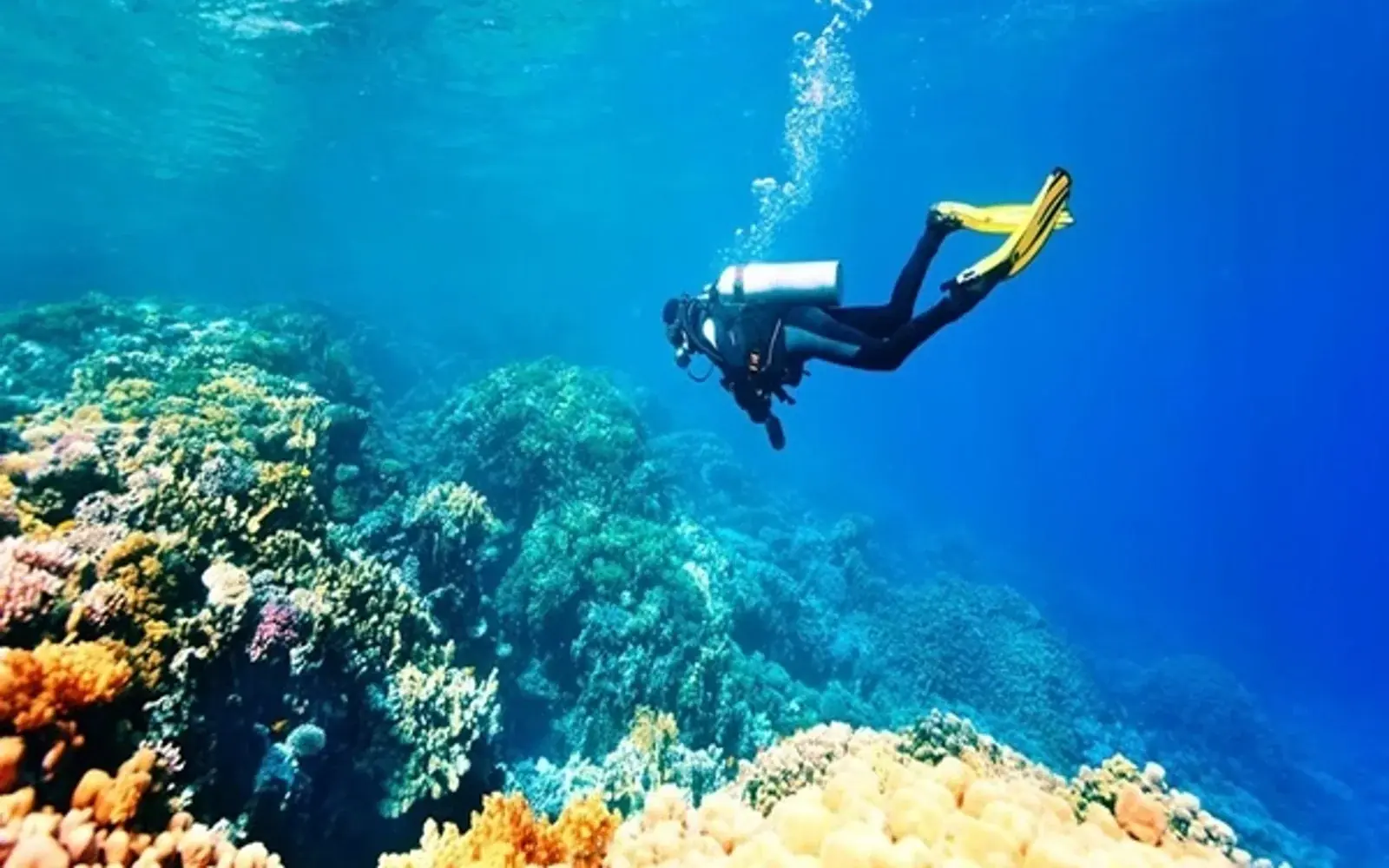 Scuba Diving Tour
