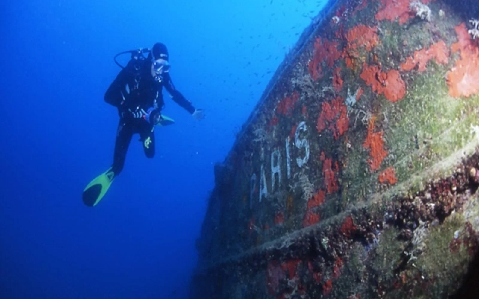 Scuba Diving Tour