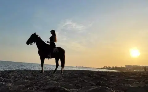 Koňské safari (Jízda na koni)
