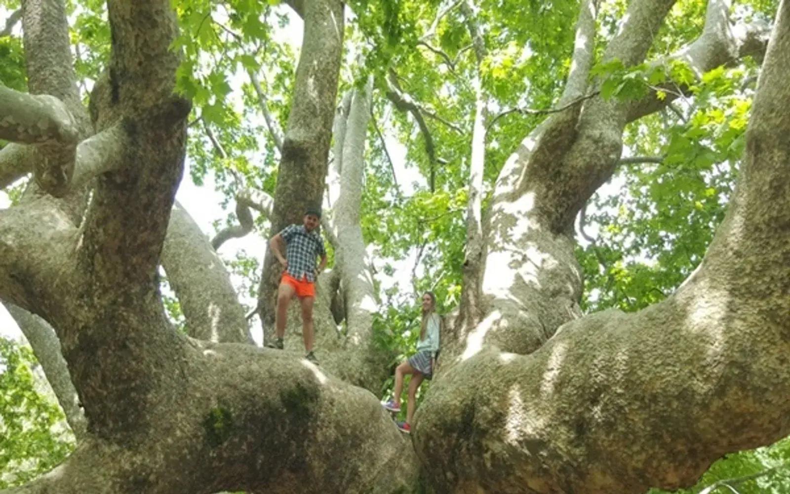 Jeep Safari & Mountain Adventure